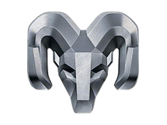 RAM